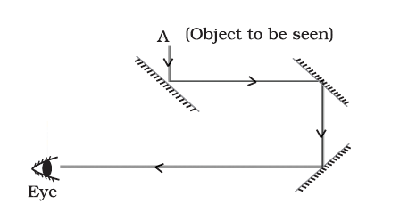 NCERT Exemplar Class 8 Science chapter 16 Solutions fig 11