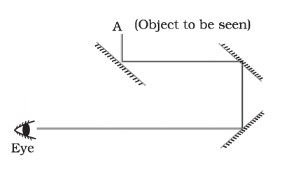 NCERT Exemplar Class 8 Science chapter 16 Solutions fig 10