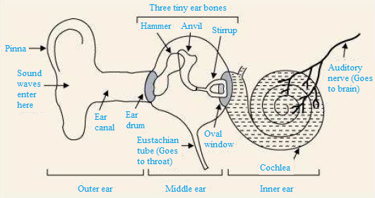 ncert solution class 9 chapter 12 fig 5 ncert solution class 9 chapter 12 fig 5