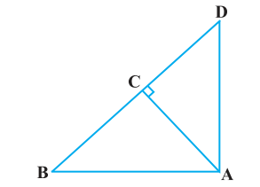 ncert solutions for class 10 maths chapter 6 fig 46