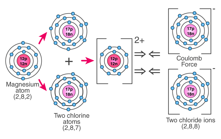 orbital diagram of magnesium chloride