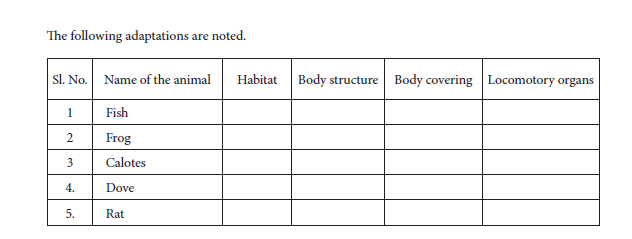 Practical 5 observations 