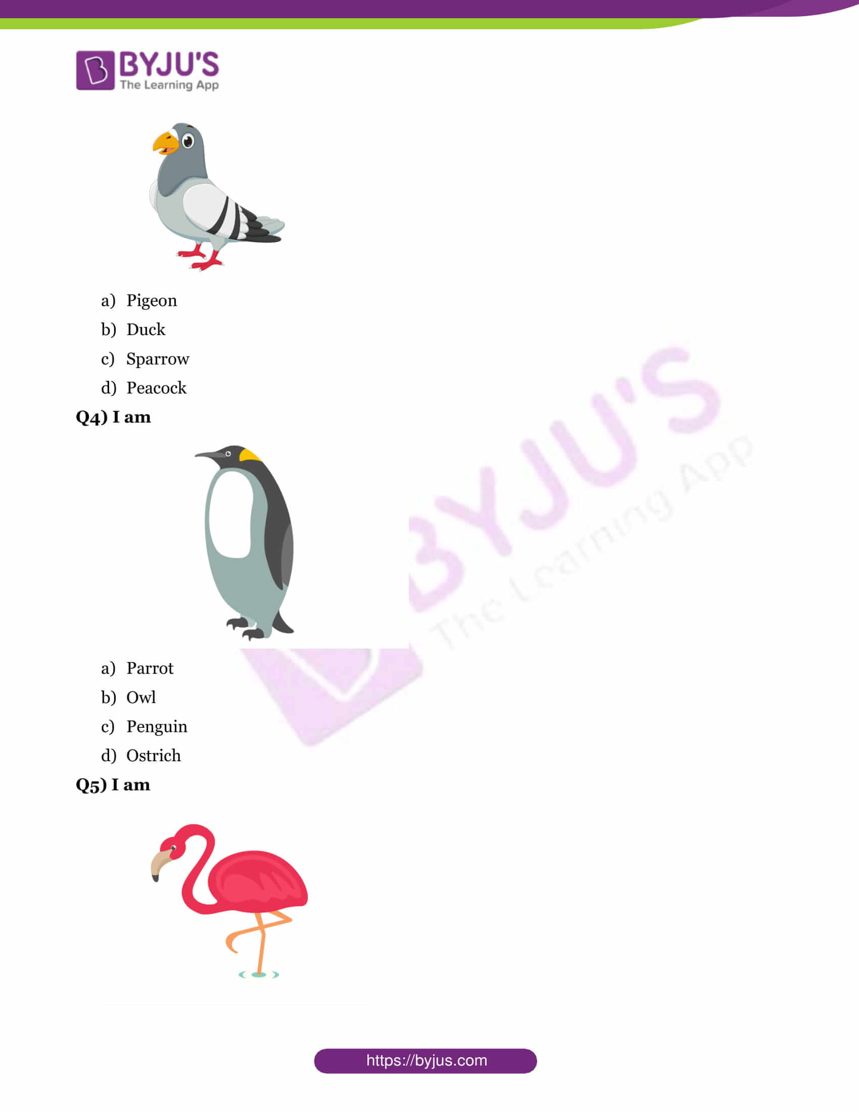 gk-questions-on-birds-with-answers-for-class-1-download-printable-pdf