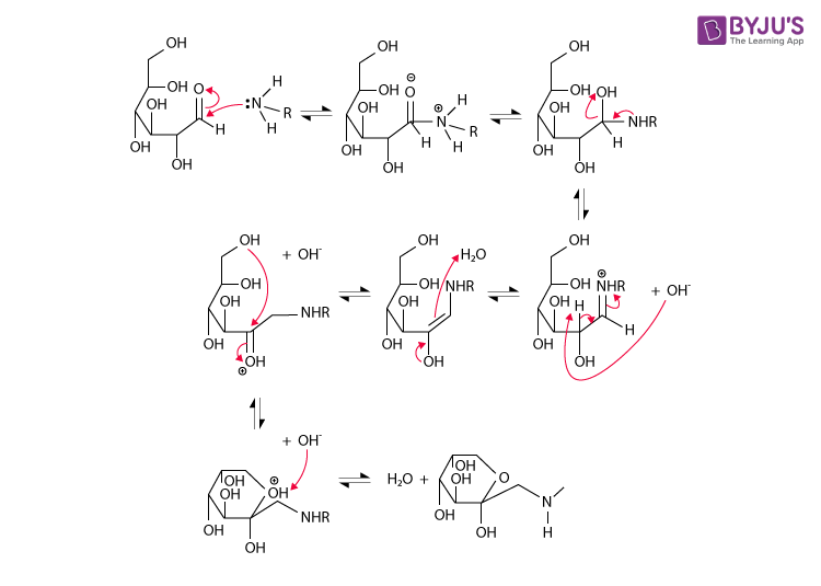 What is the Maillard Reaction? Mechanism with Examples and Illustrations