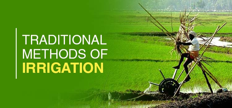 Traditional Methods Of Irrigation An Overview