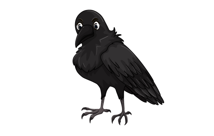 Crow