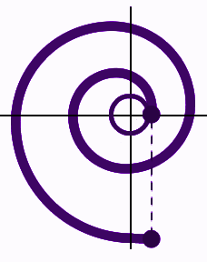 Involute of a Circle