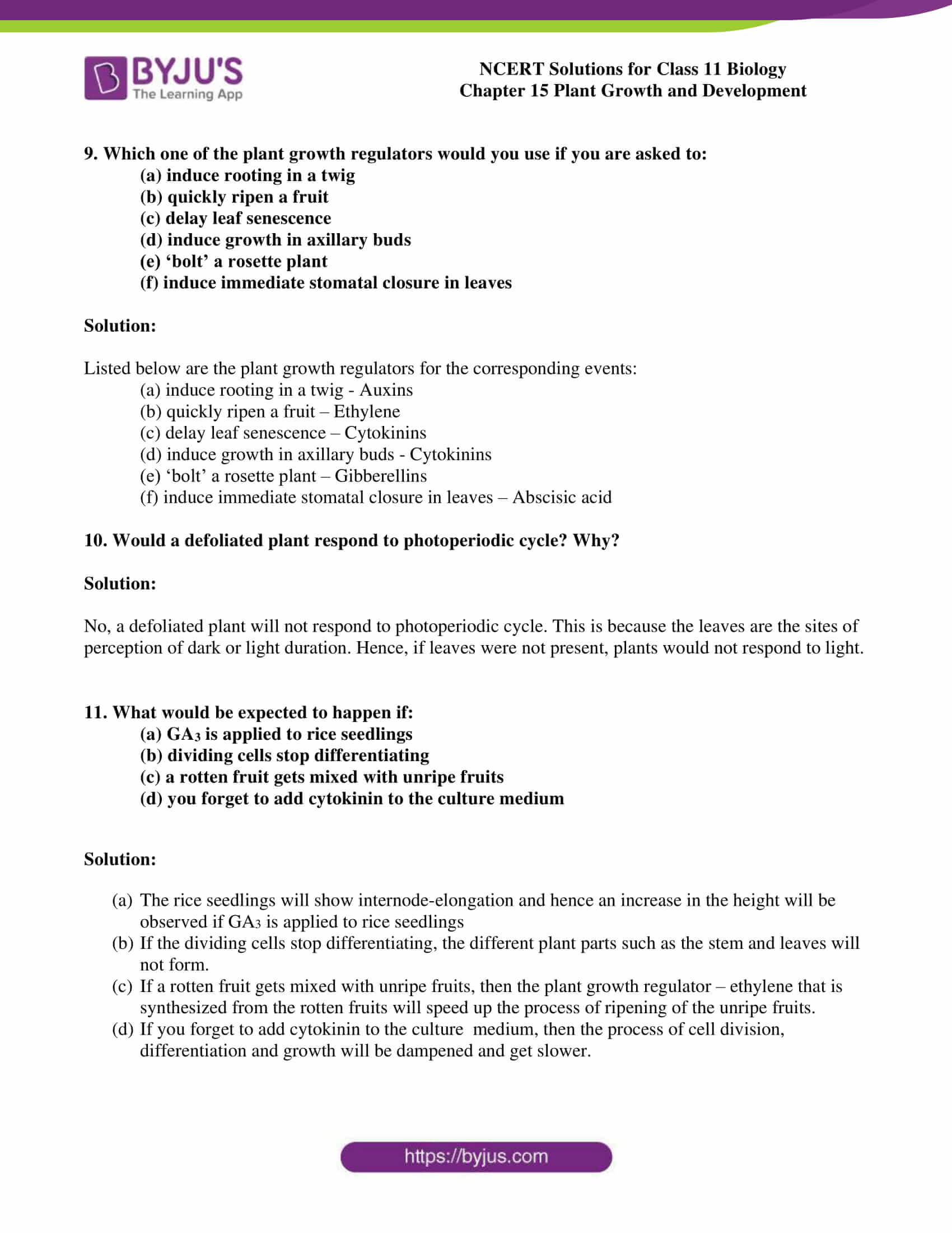 NCERT Solutions Class 11 Biology Chapter 15 Plant Growth and Development