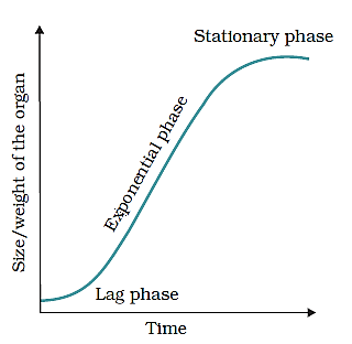 Sigmoid growth curve