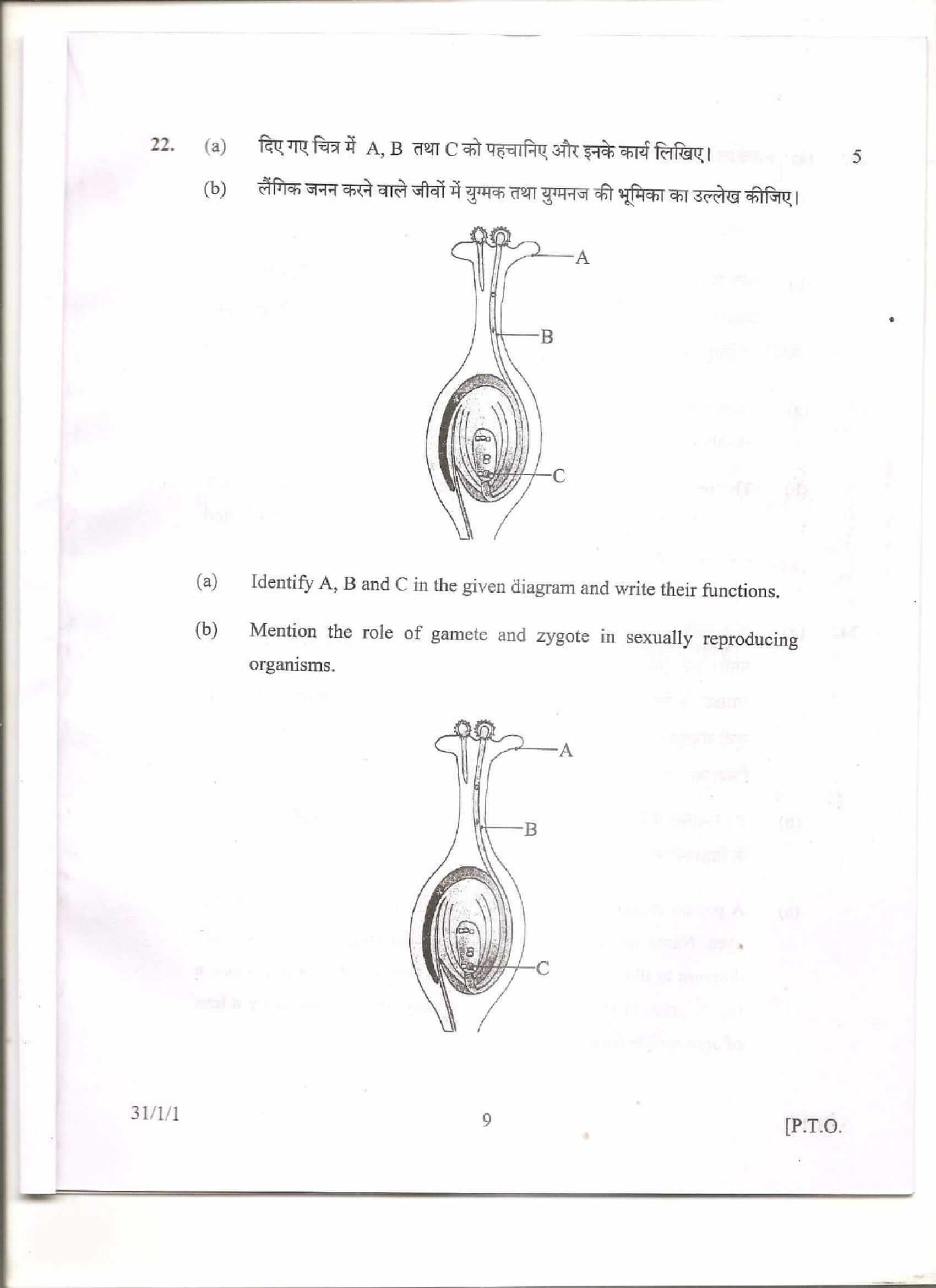 cbse class 10 science question paper 2013