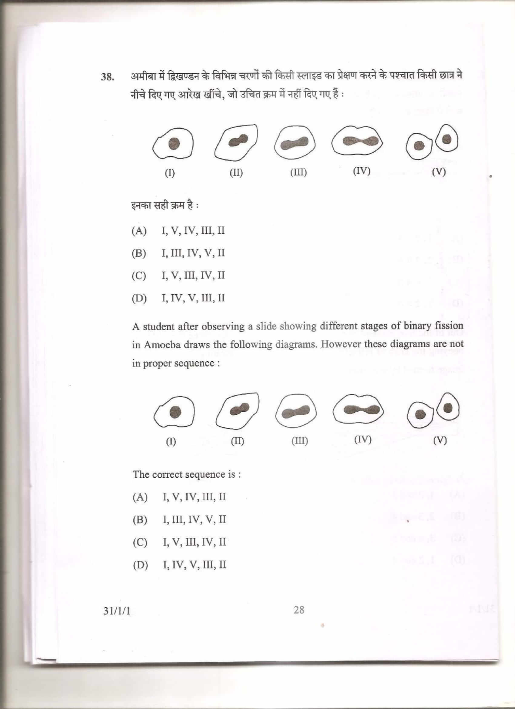 cbse class 10 science question paper 2013