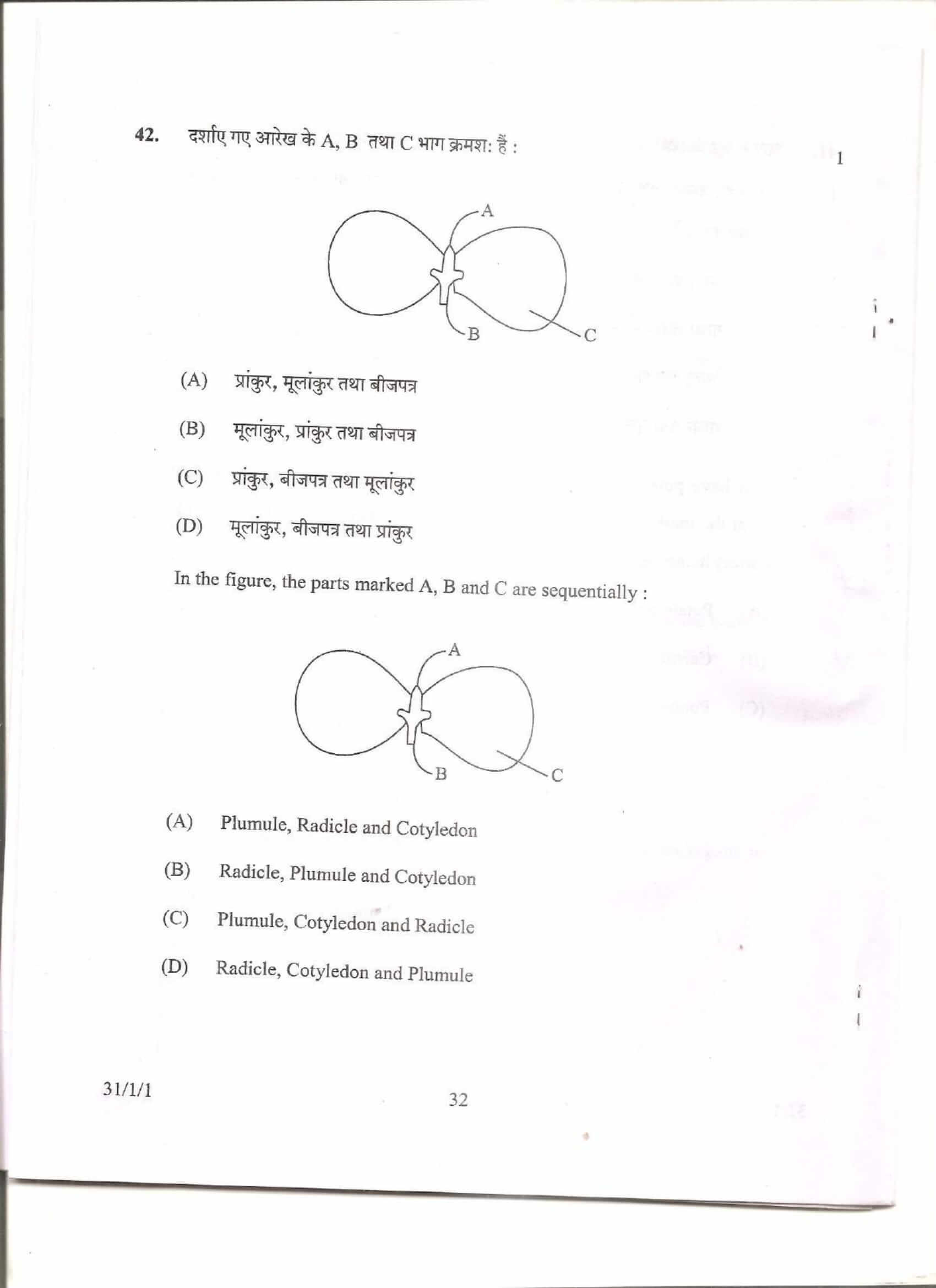 cbse class 10 science question paper 2013