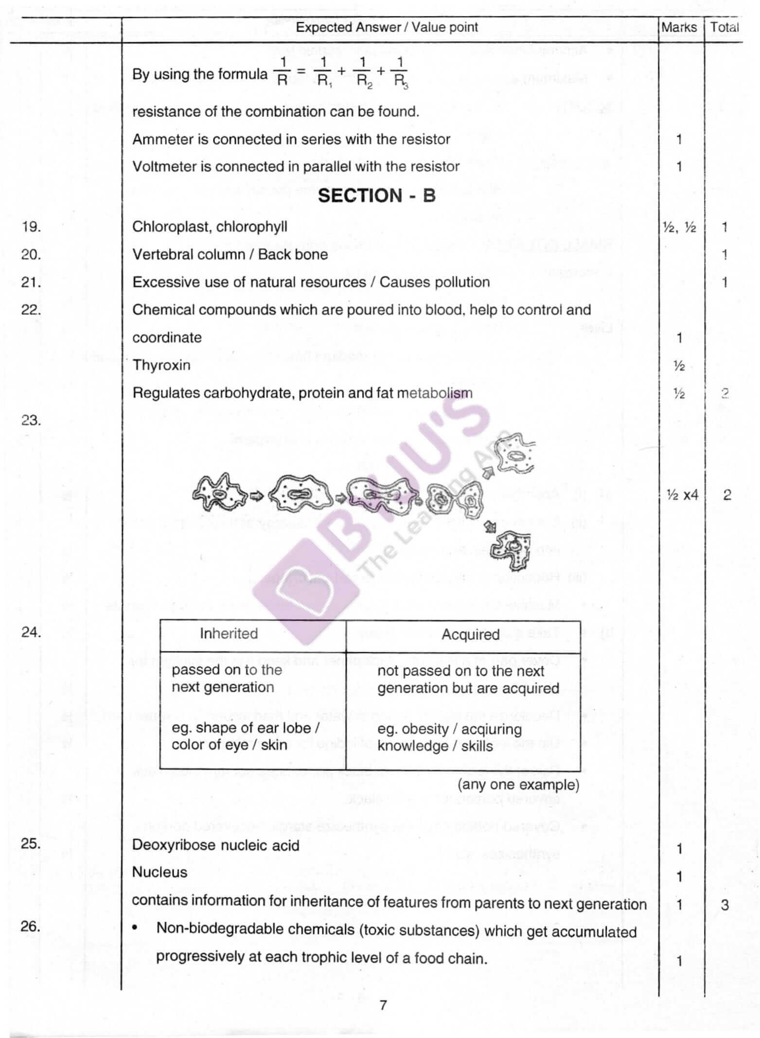 cbse class 10 science solution 2010 set 1