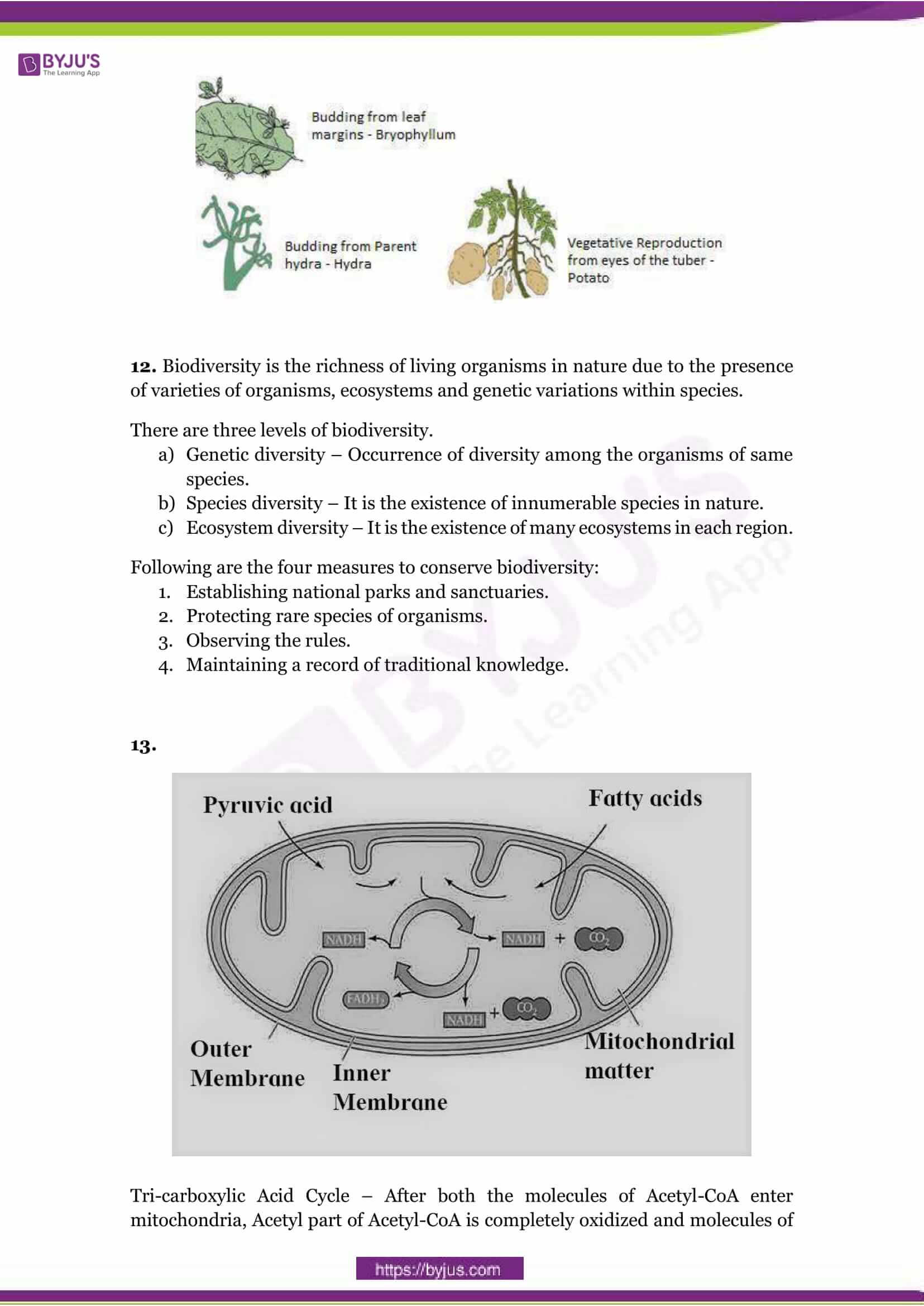 CBSE Class 10 Science Sample Paper Solution Set 1-4