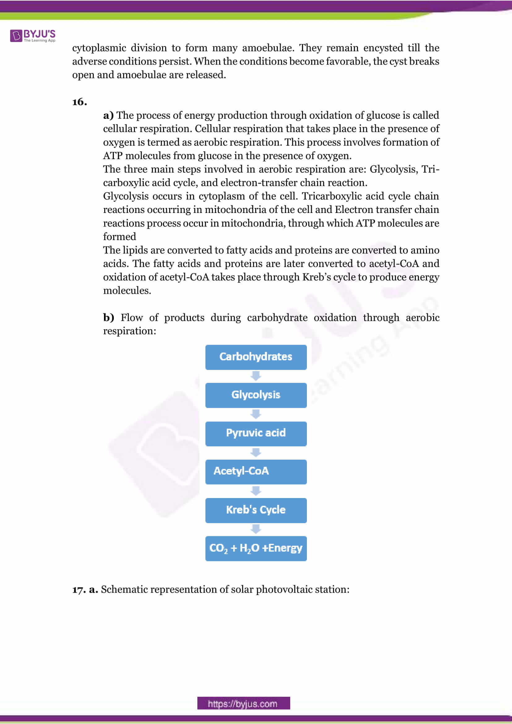 CBSE Class 10 Science Sample Paper Solution Set 1-6