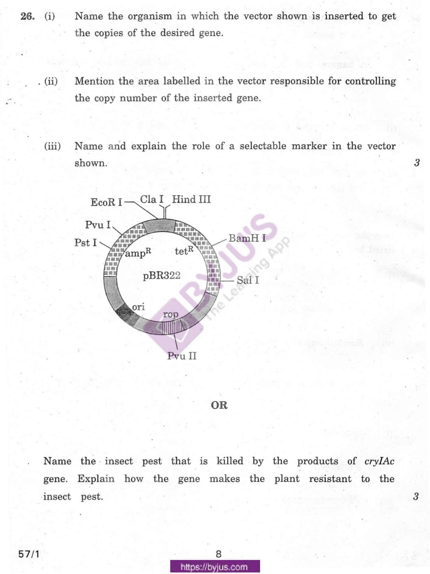 cbse class 12 biology question paper 2010 set 1