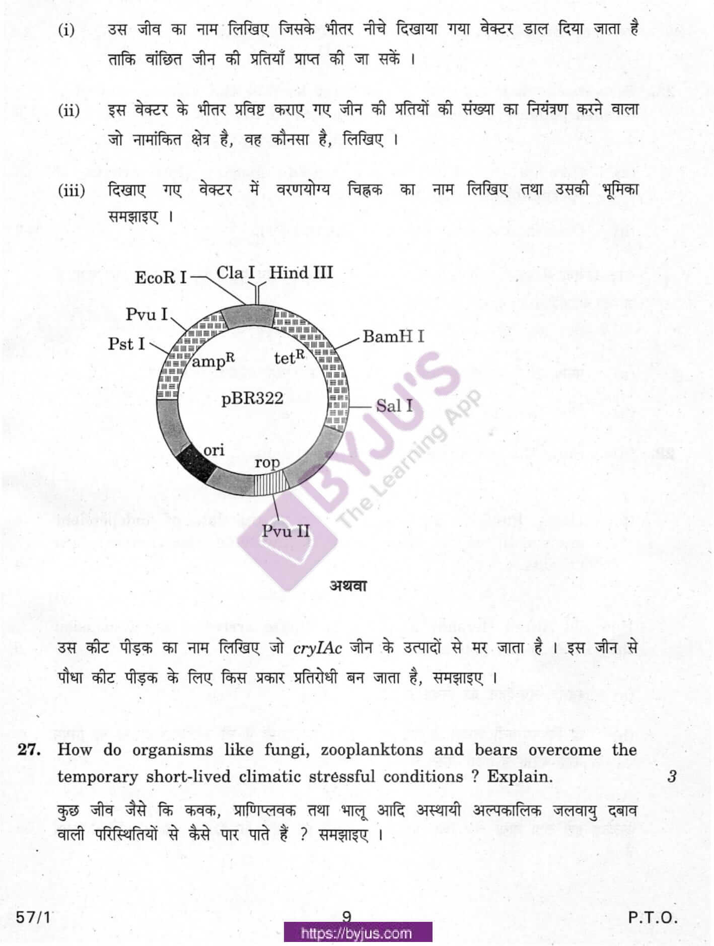 cbse class 12 biology question paper 2010 set 1