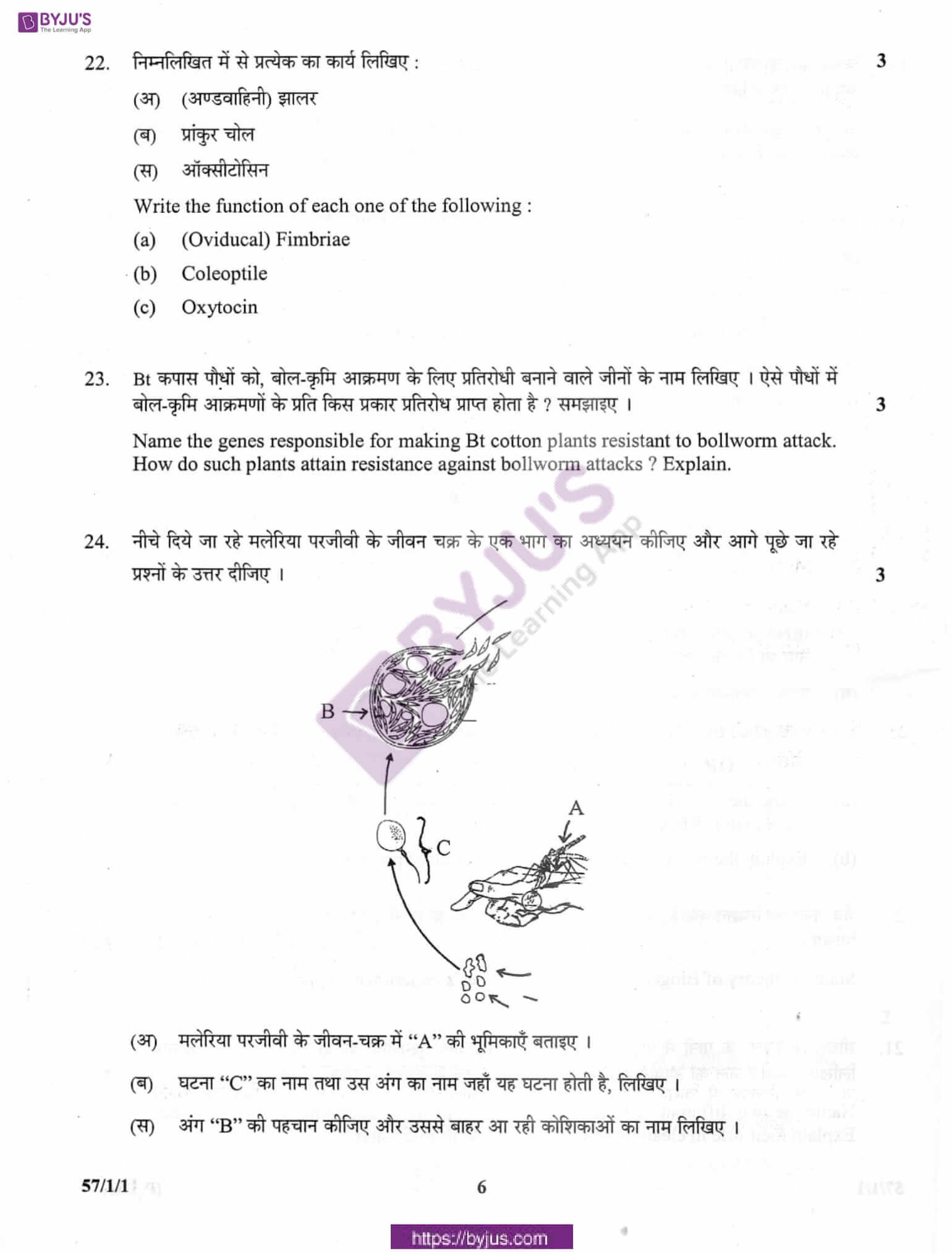 cbse class 10 biology question paper 2012 set 1