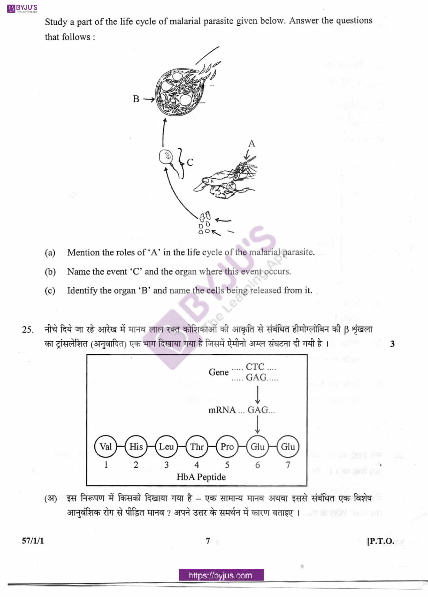 cbse class 10 biology question paper 2012 set 1