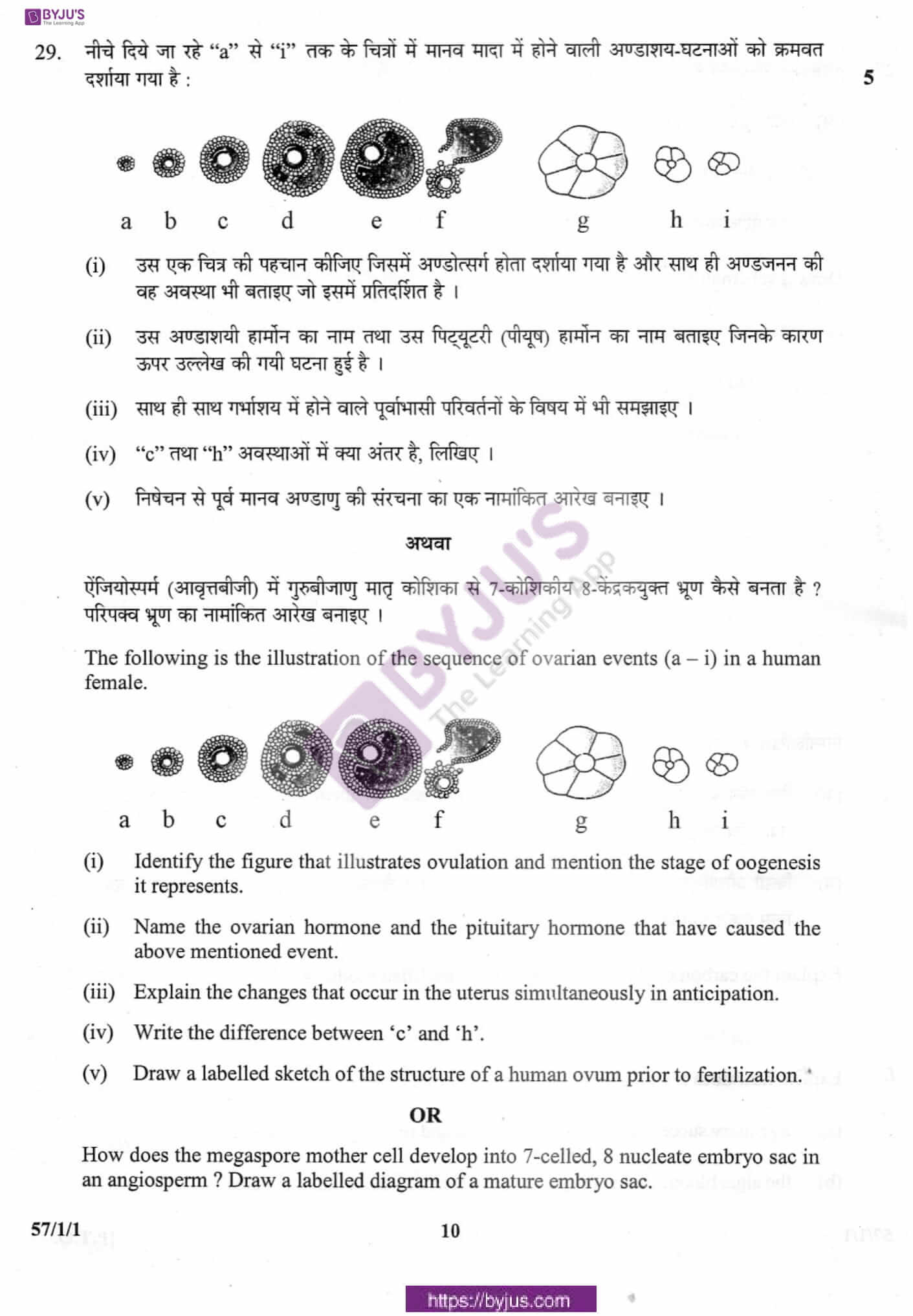 cbse class 10 biology question paper 2012 set 1