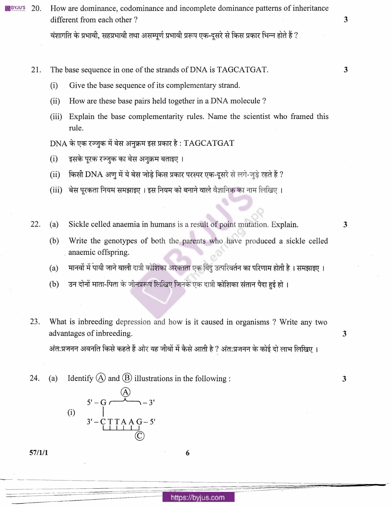 cbse class 12 biology question paper 2011 set 1