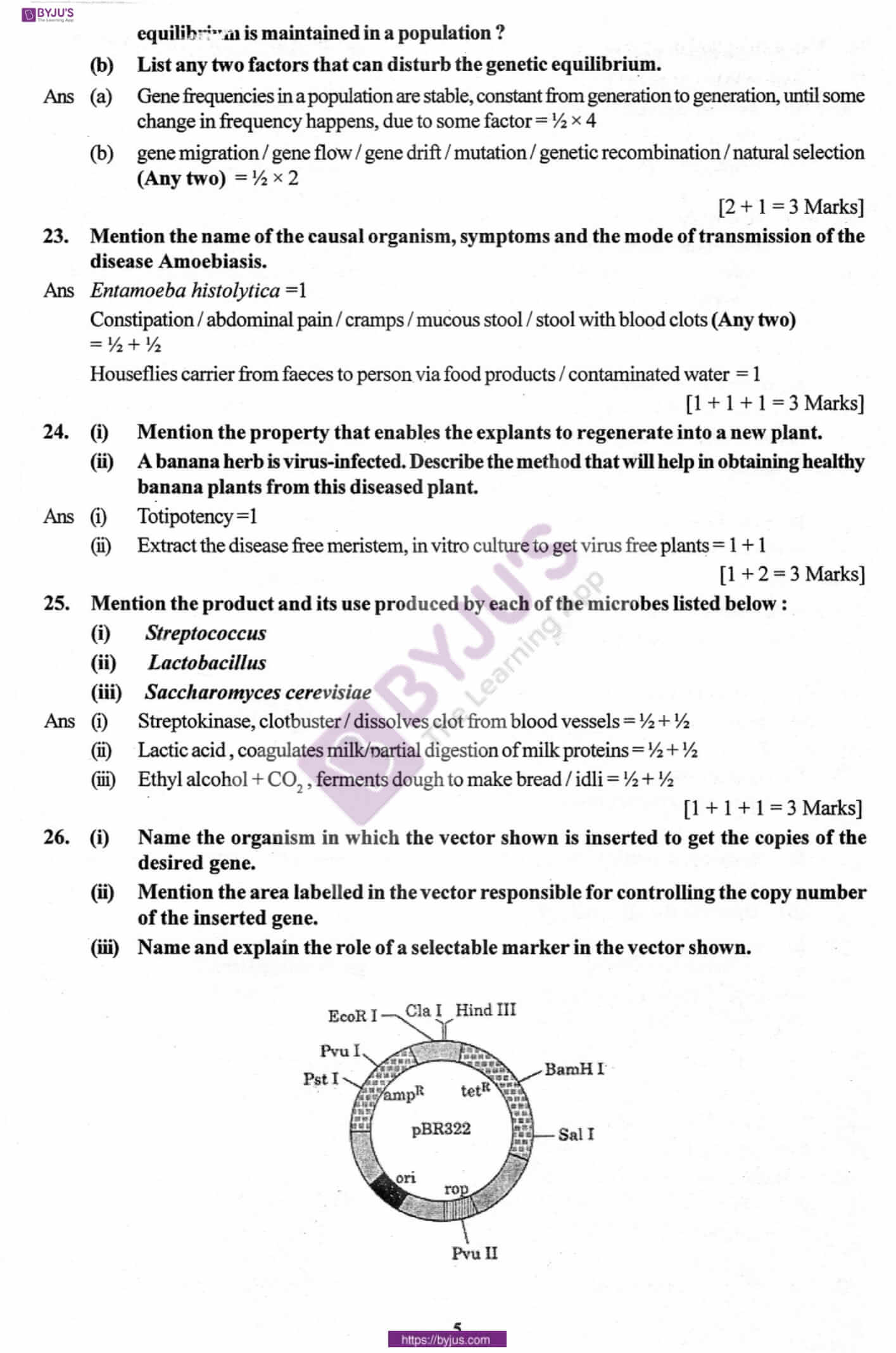 cbse class 12 biology solution 2010 set 1