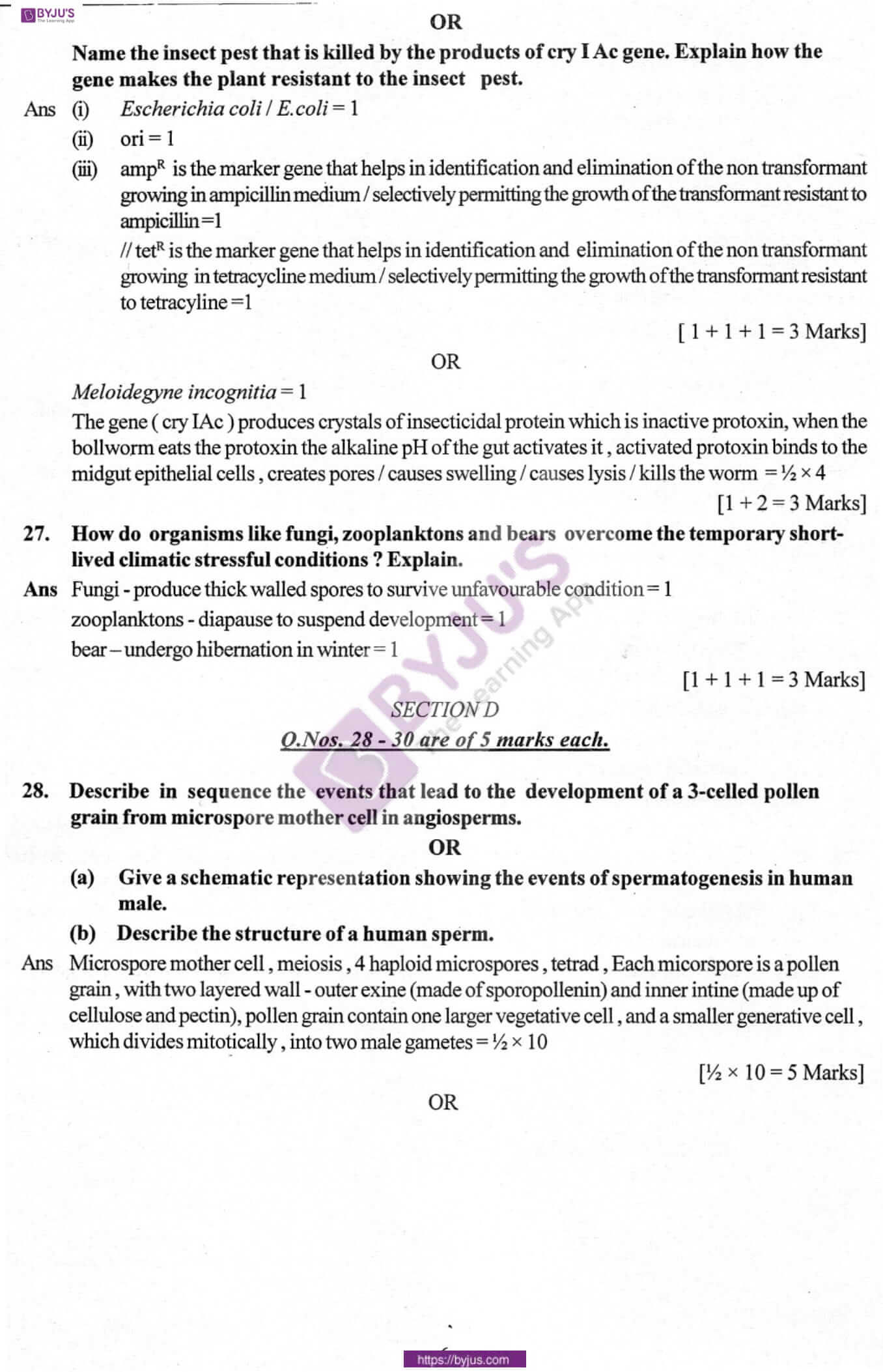 cbse class 12 biology solution 2010 set 1