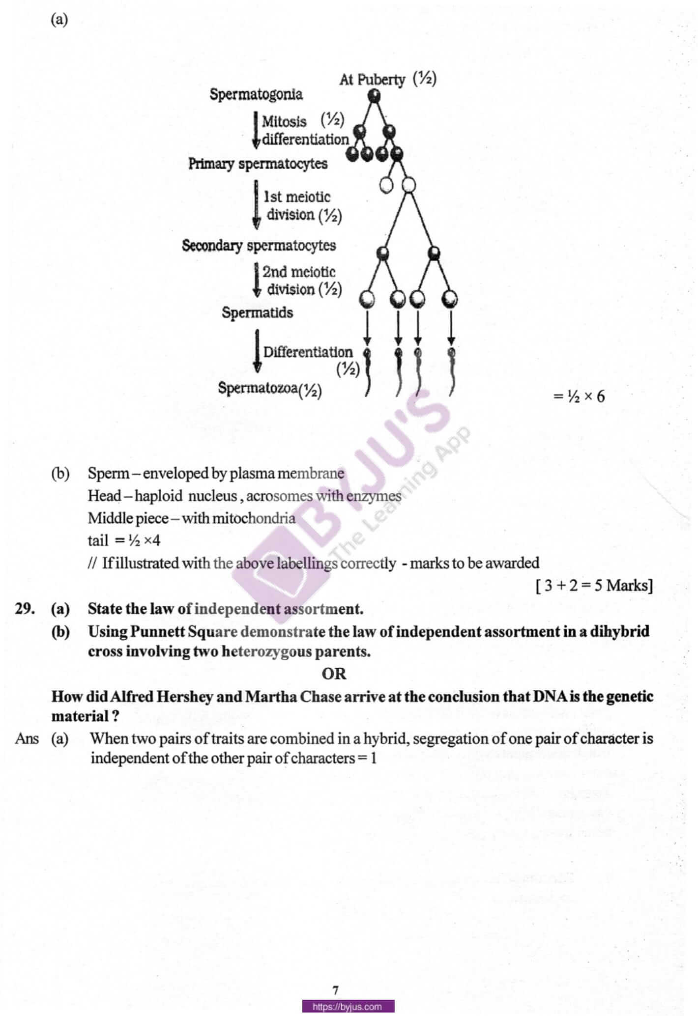 cbse class 12 biology solution 2010 set 1