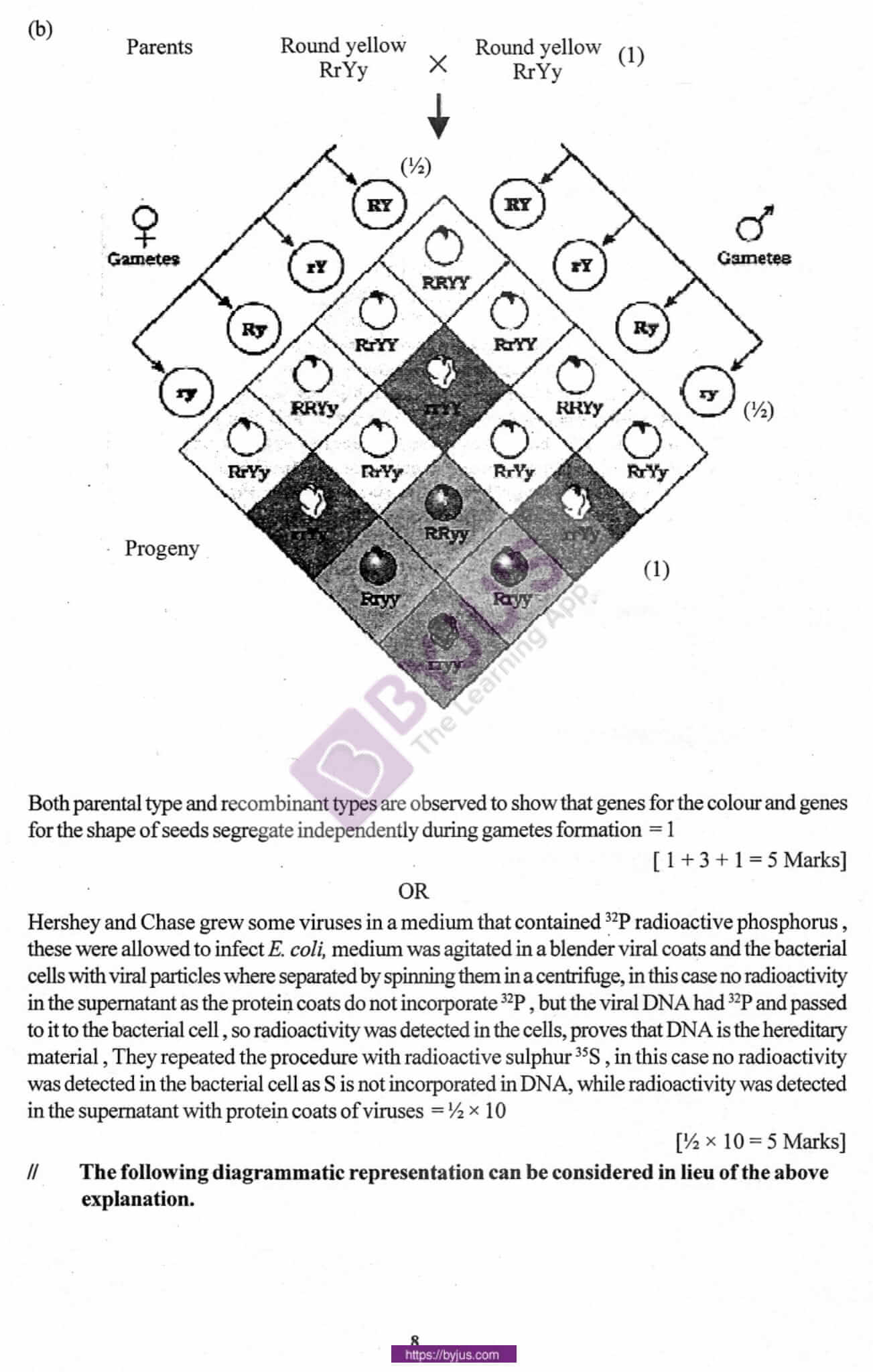 cbse class 12 biology solution 2010 set 1