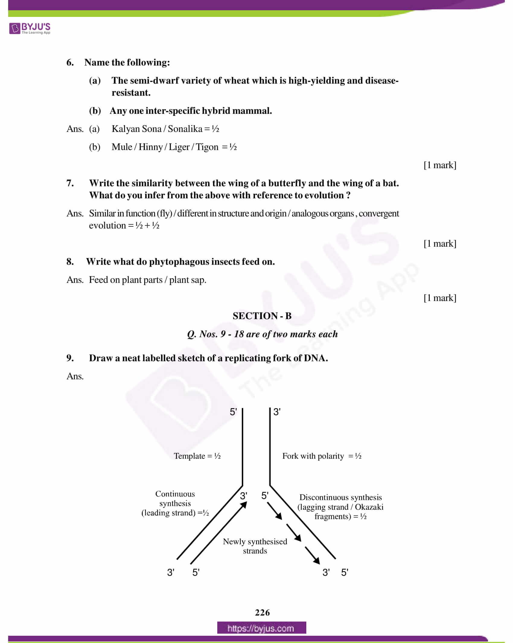 cbse class 12 biology solution 2012 set 1