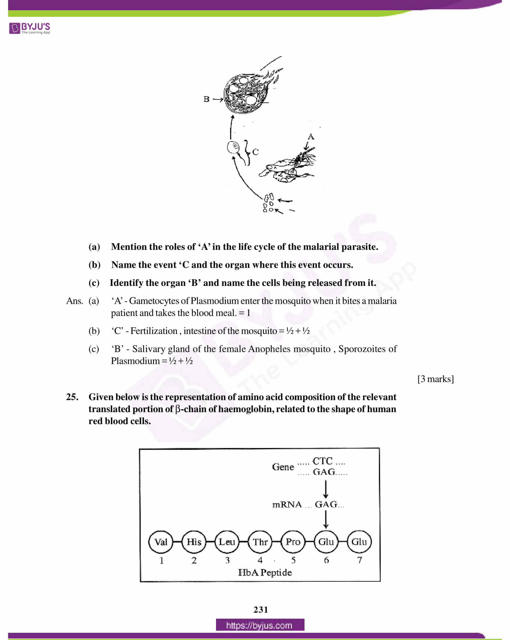 cbse class 12 biology solution 2012 set 1