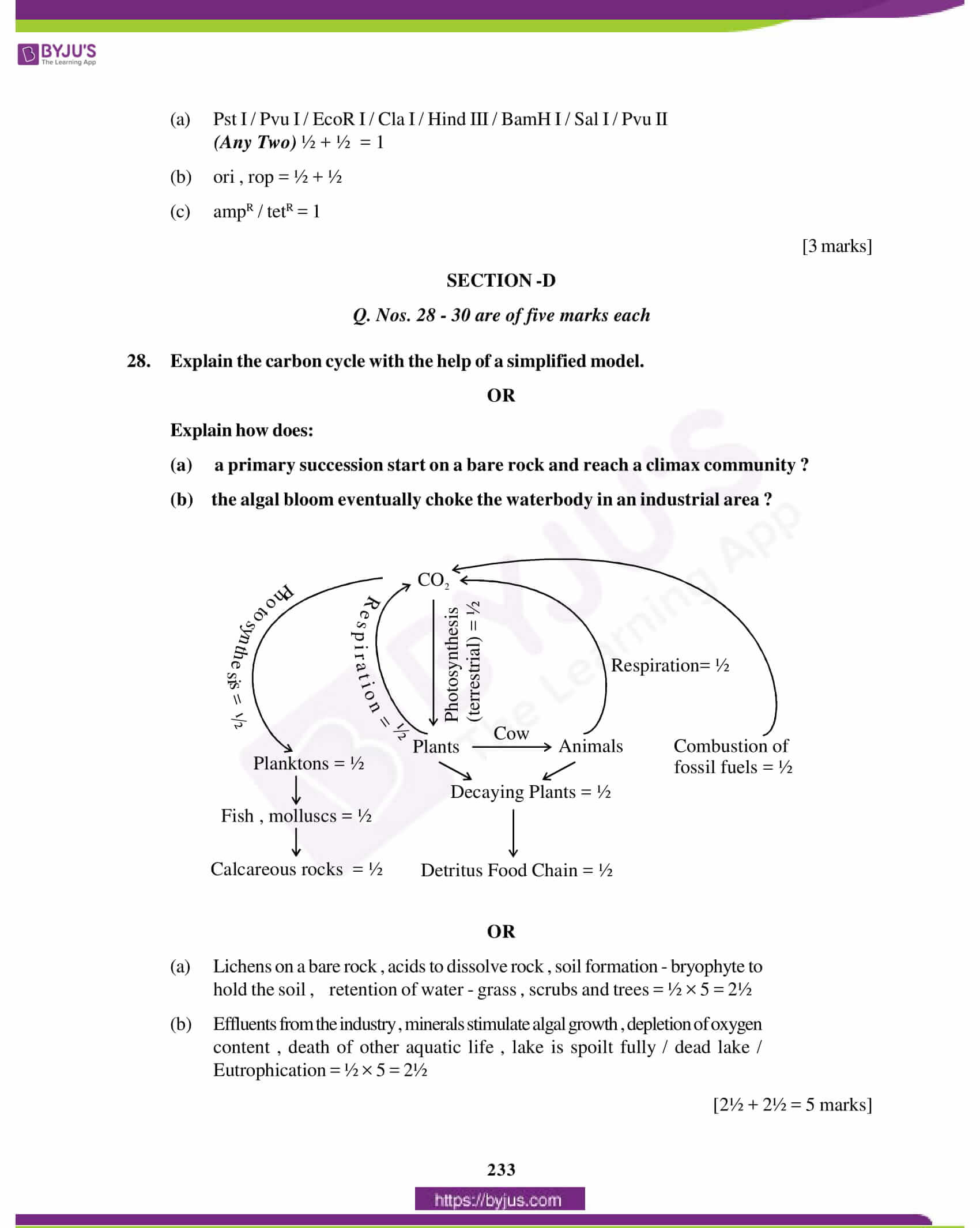 cbse class 12 biology solution 2012 set 1