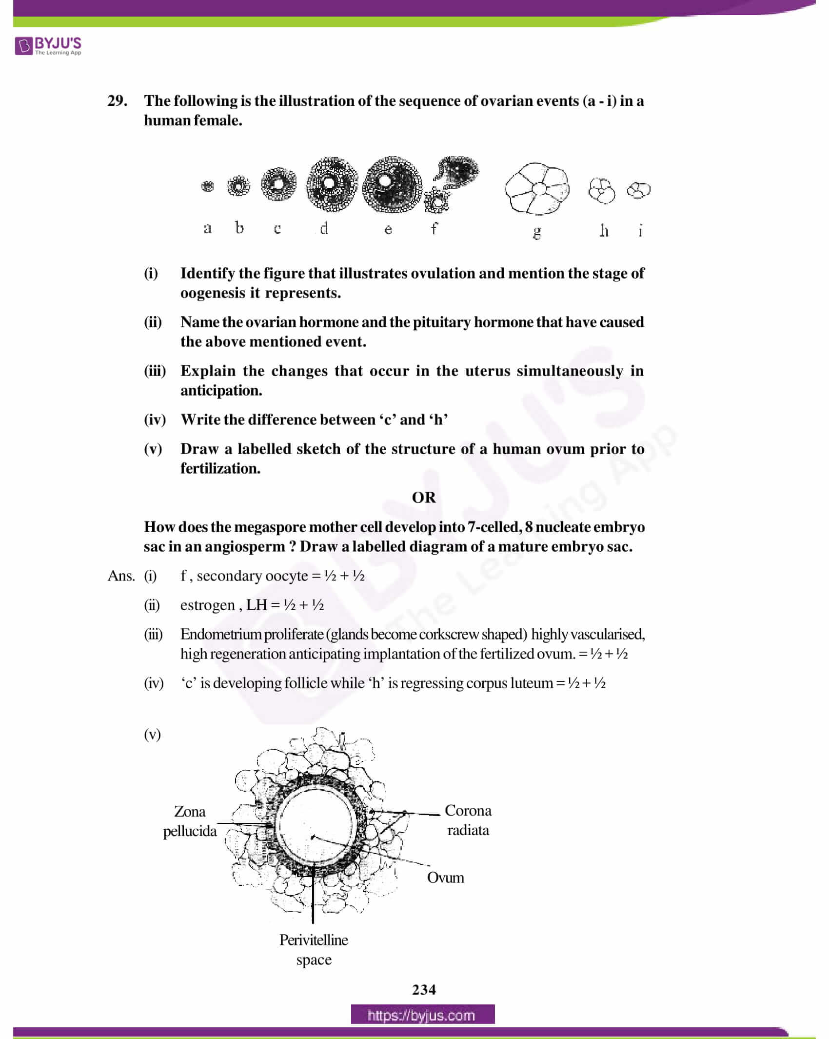 cbse class 12 biology solution 2012 set 1