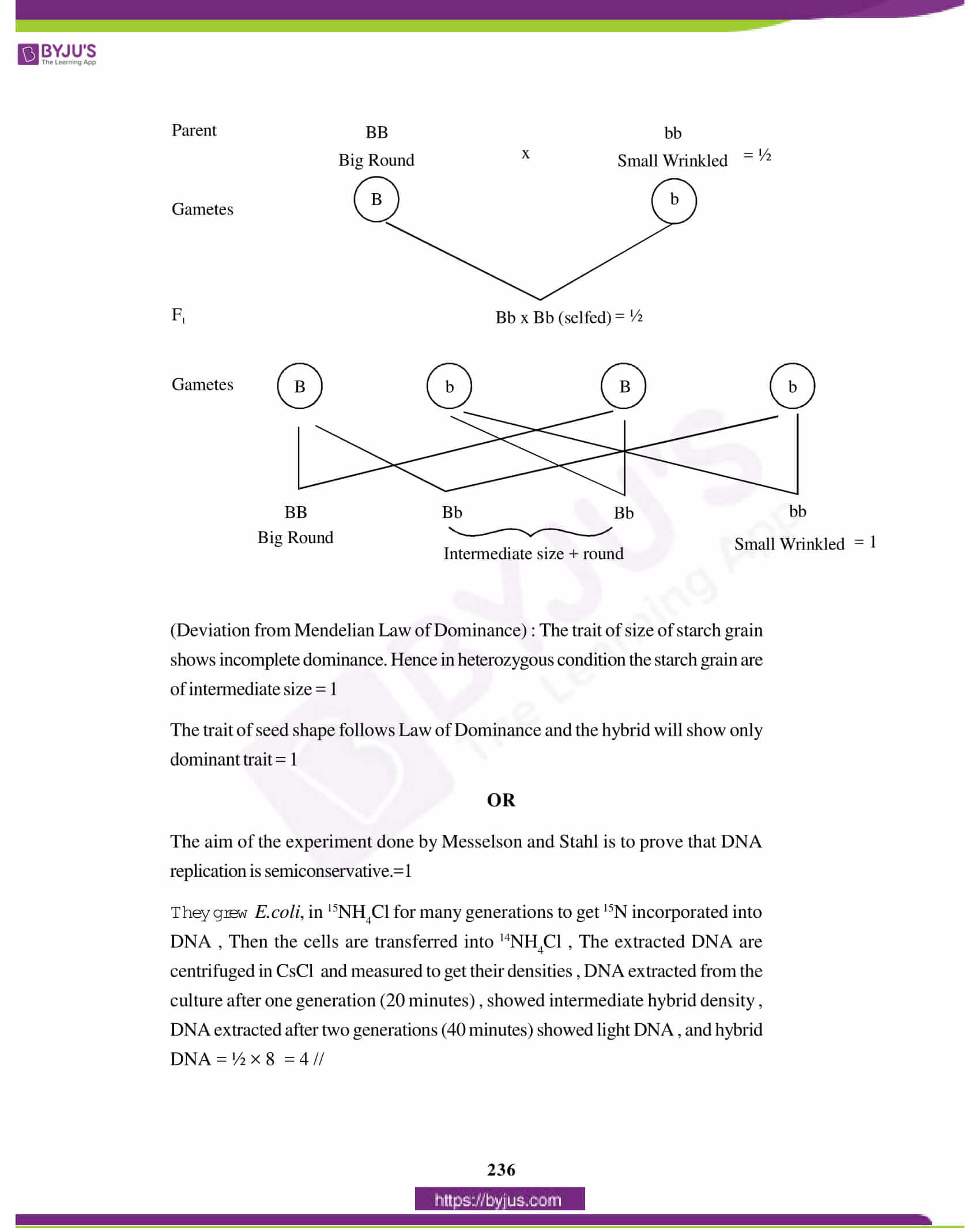 cbse class 12 biology solution 2012 set 1