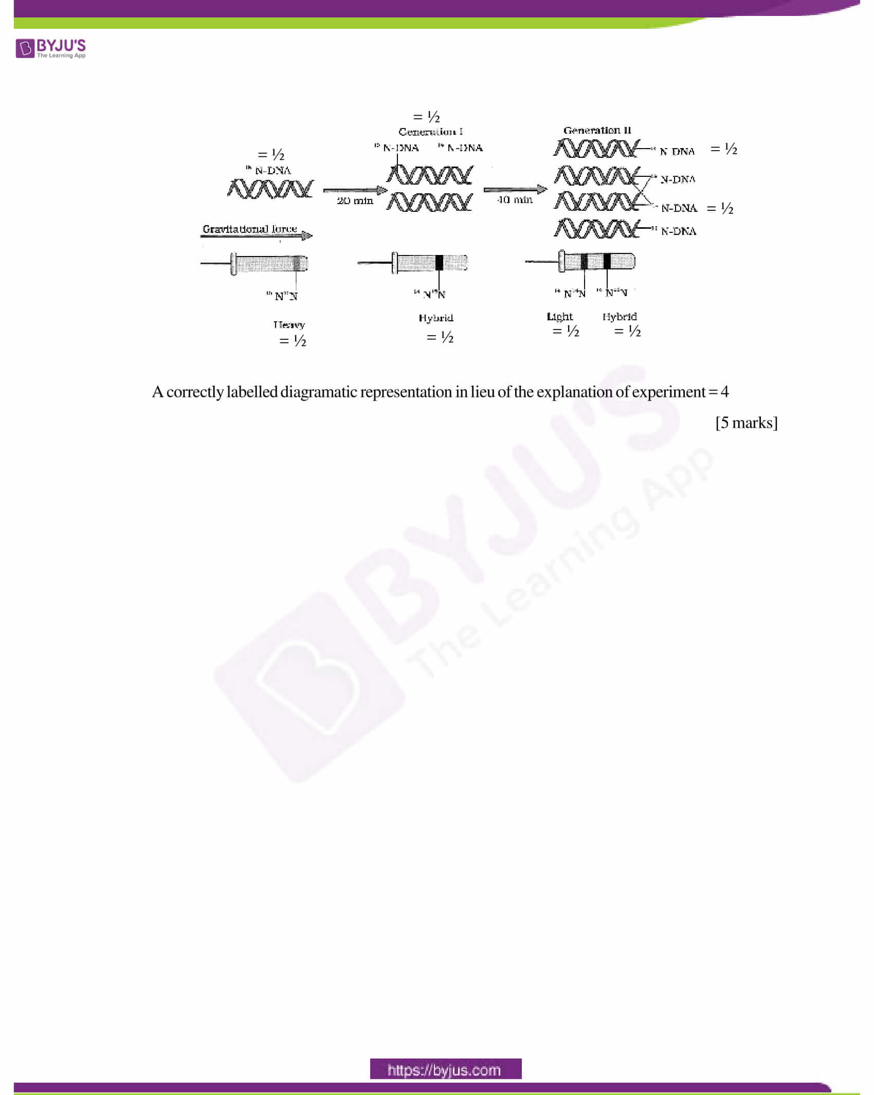 cbse class 12 biology solution 2012 set 1