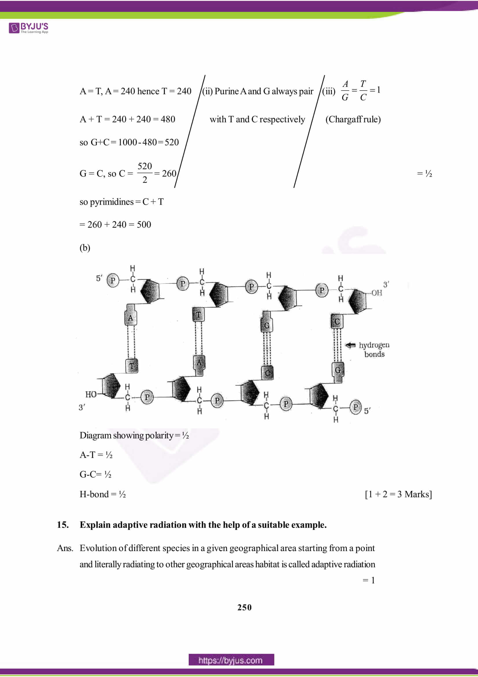 cbse class 12 biology solution 2015 set 1