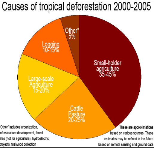 Causes of Deforestation Causes of Deforestation