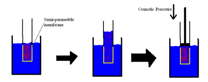 Osmotic Pressure Osmotic Pressure