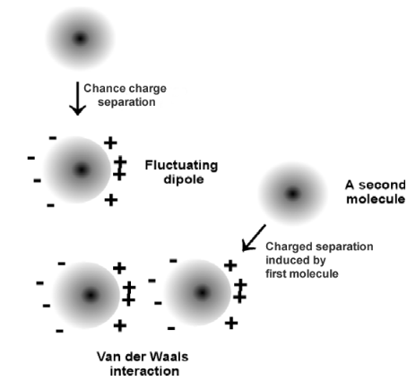 Van der Waals Forces Van der Waals Forces