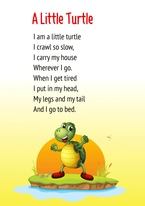 A Little Turtle Poem for Class 1 - Poem on Animals in English