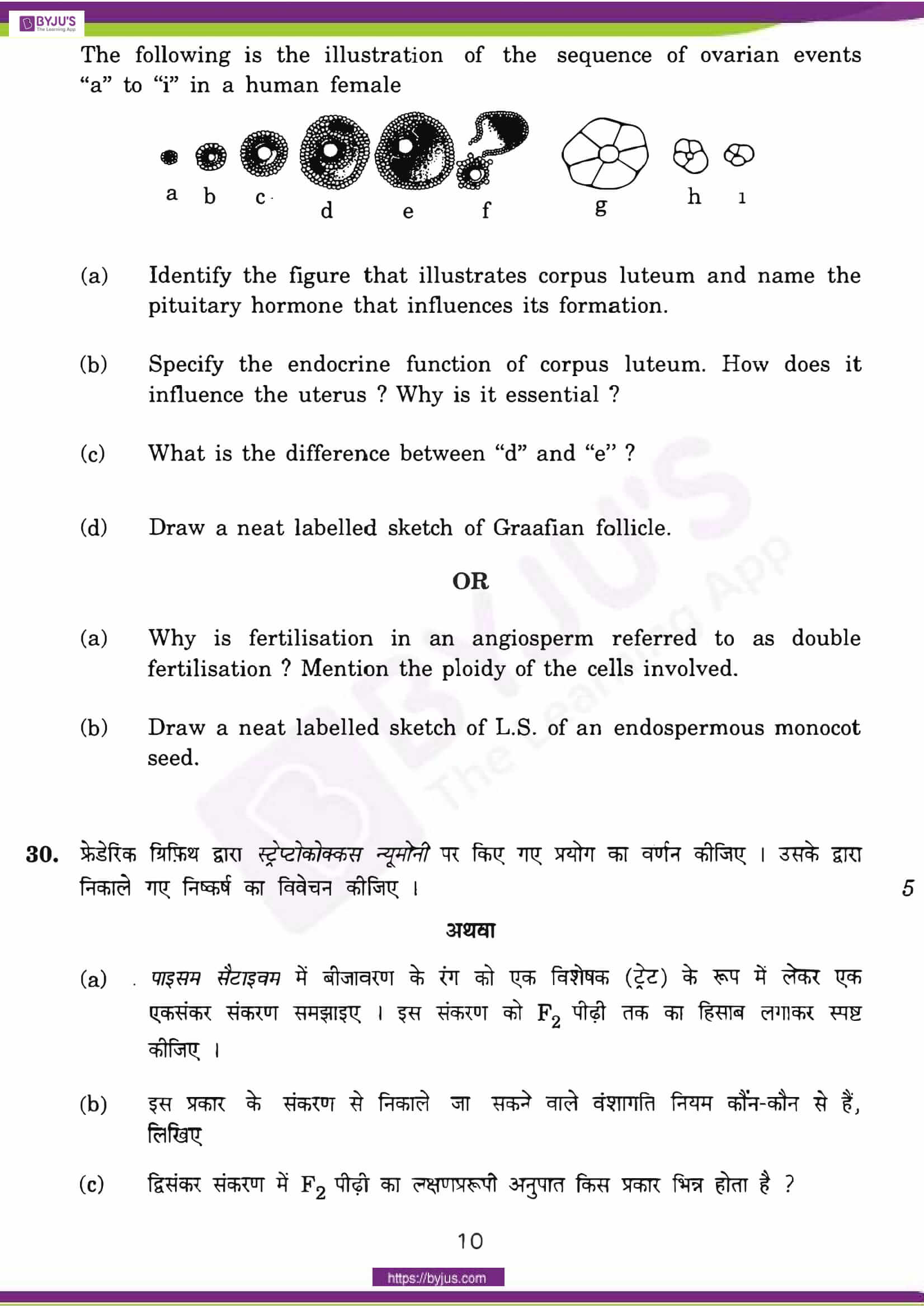 cbse class 12 qs paper 2014 bio set 1