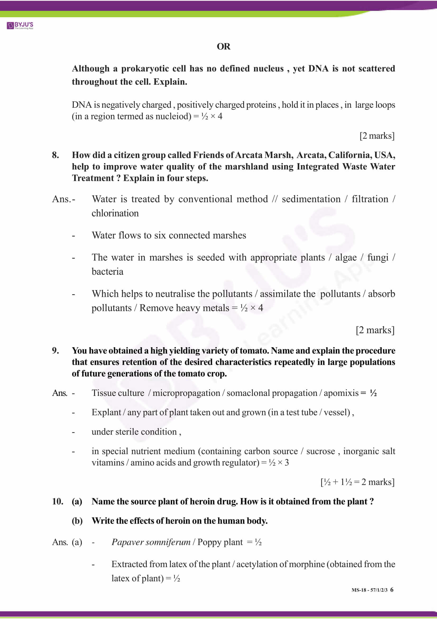 cbse class 12 solution 2018 bio set 1