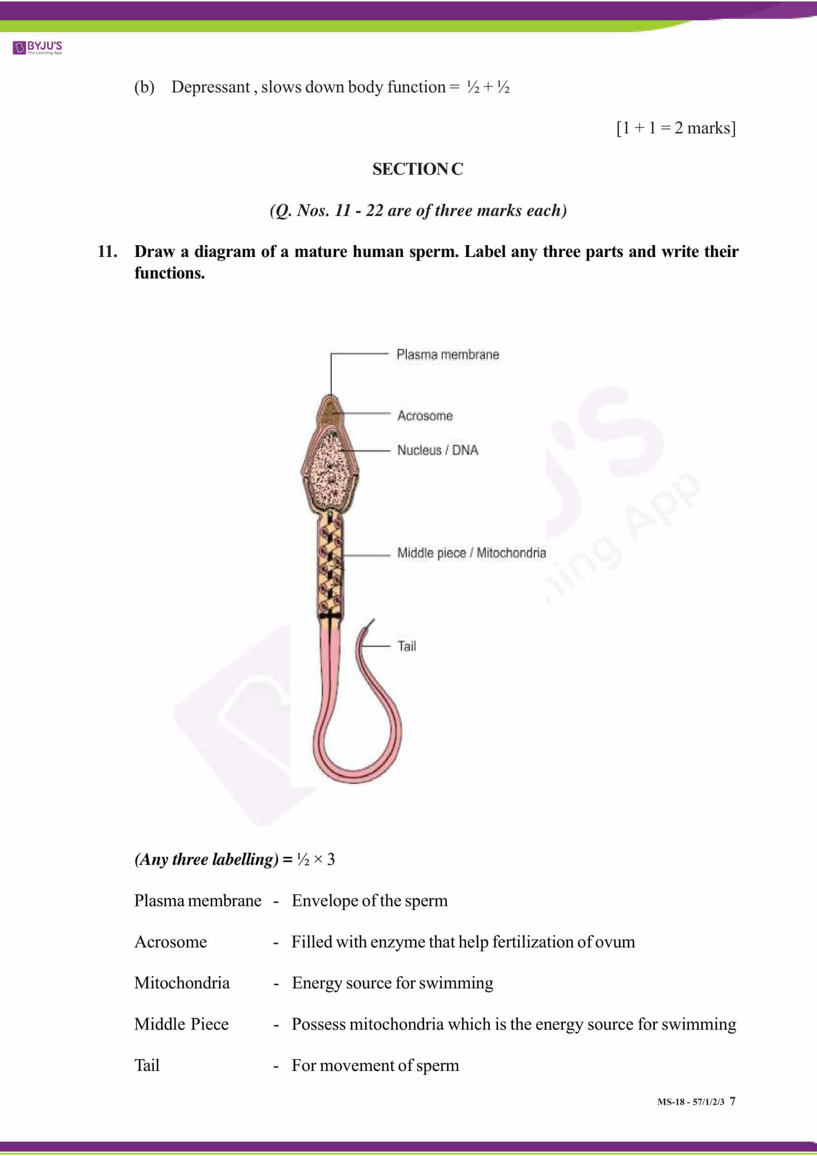 cbse class 12 solution 2018 bio set 1