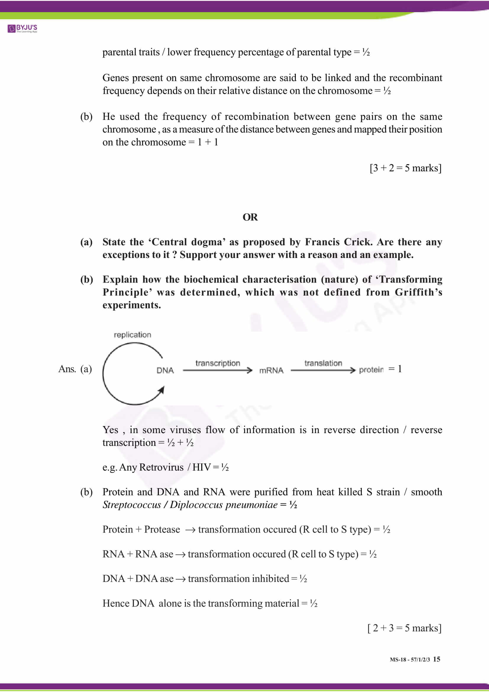 cbse class 12 solution 2018 bio set 1