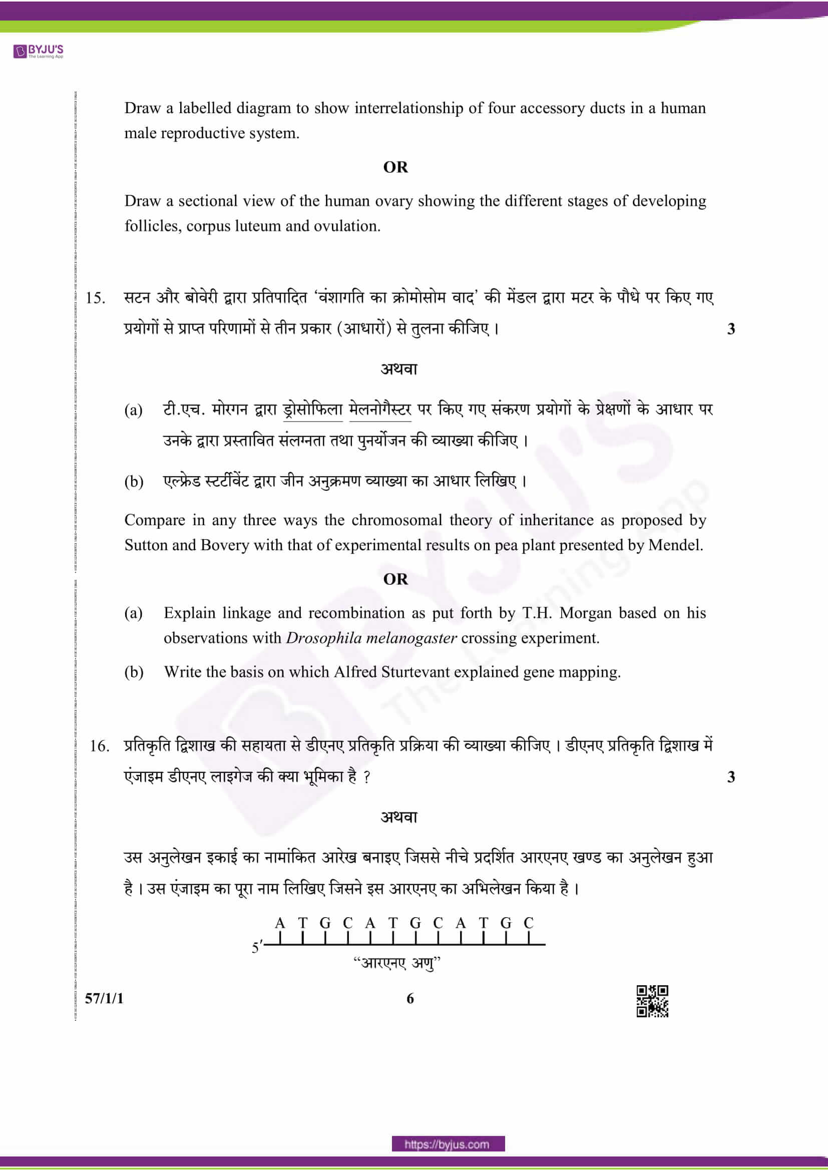 cbse class 12 qs paper 2019 bio set 1