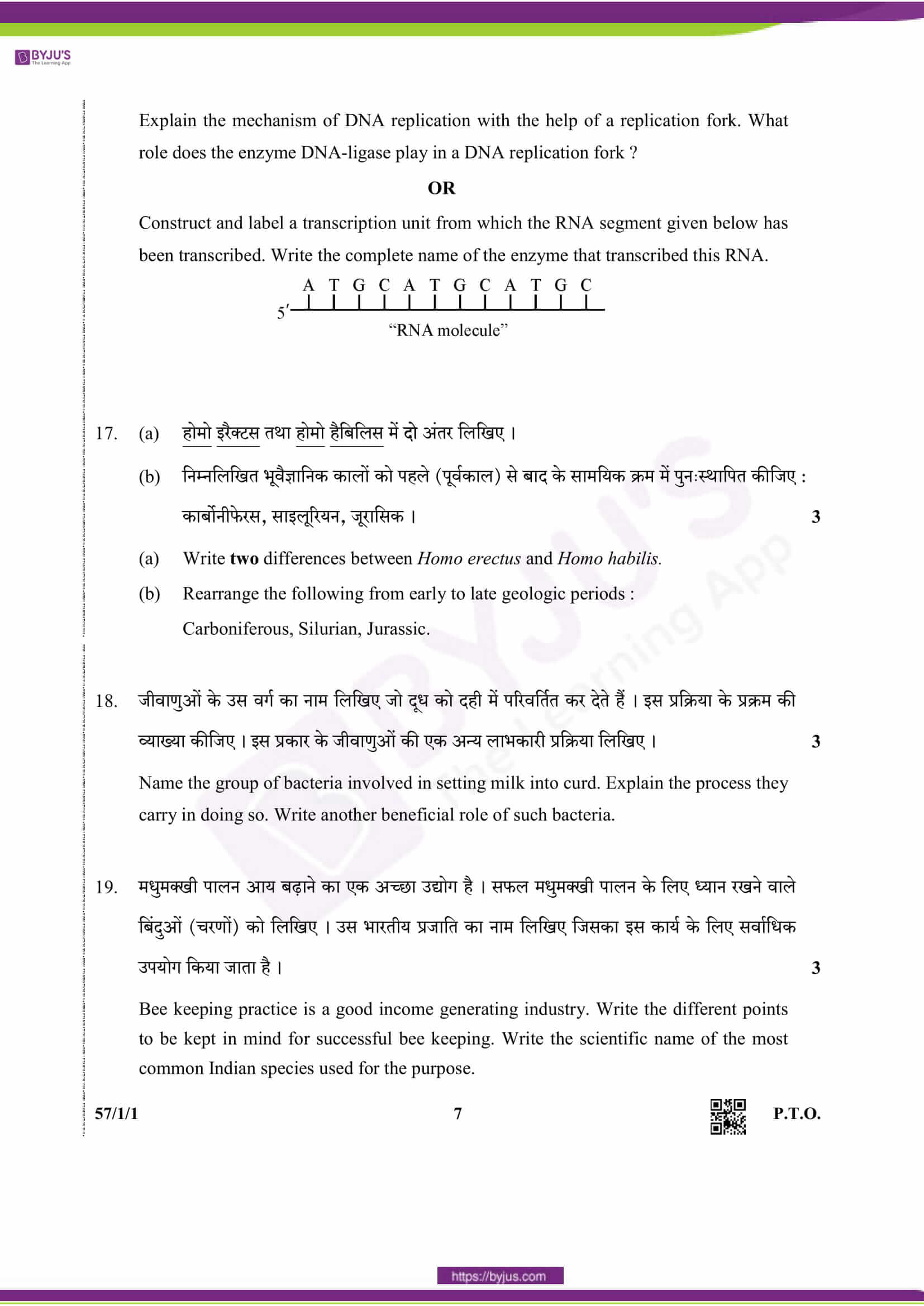 cbse class 12 qs paper 2019 bio set 1