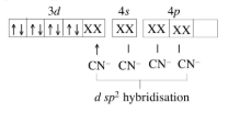 What Is The Hybridisation For Ni Cn 4 2 Qna