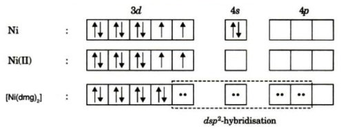 What Is The Hybridization Of Ni In Ni Dmg 2?