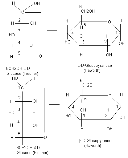 Glucose Structure Diagrams Examples Physical Properties   Haworth Representation 