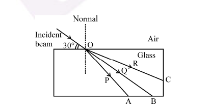 RBSE Class 10 Science Important Question No.21 Image